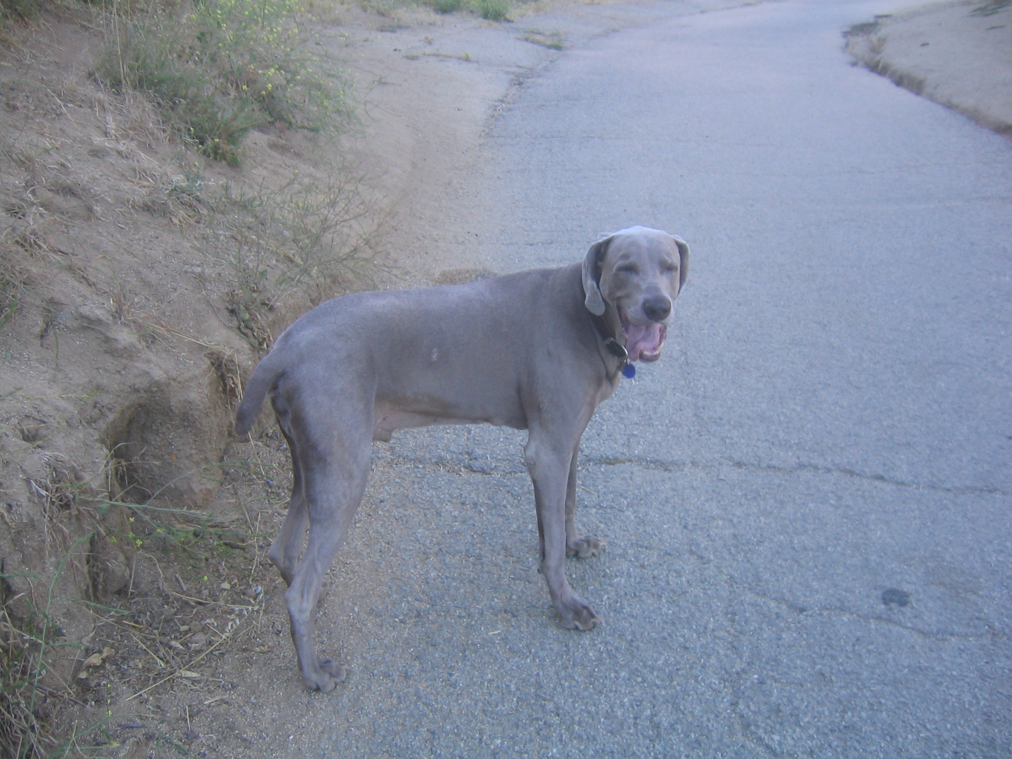 Yeager pauses to check in on me at Runyon, 2005