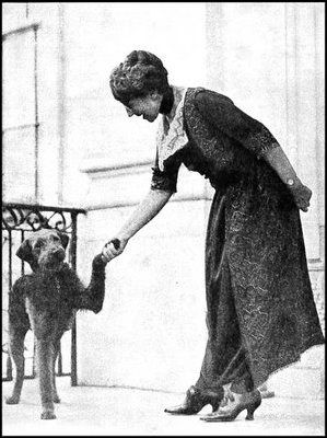 Florence Harding and her Airedale Laddie Boy who she used as a symbol on animal rights issues