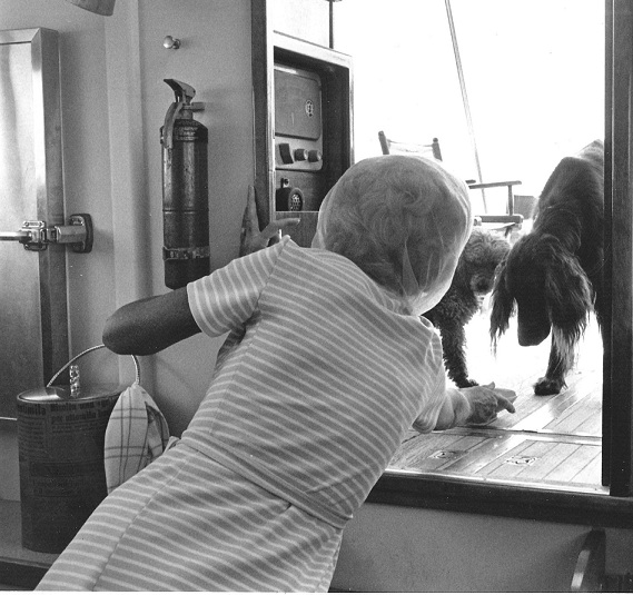 59. Aboard the presidential yacht Sequoia, Pat Nixon attends to First Dogs King Timahoe the Irish setter and  Vicki the poodle.