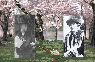 Nellie Taft and Iwa Chinda used ceremonial shovels to break ground for the first two of what would establish the current cherry blossom grove on March 27, 1912.