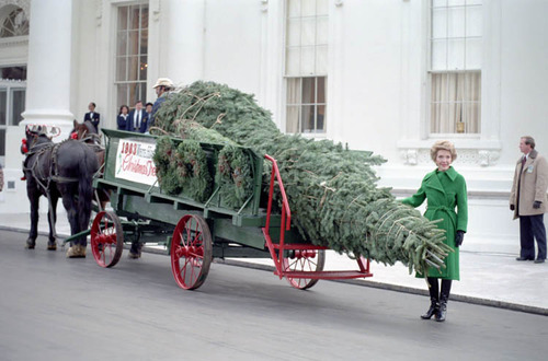 Nancy Reagan accepts the White House Christmas tree at the North Portico