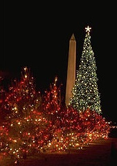 National Christmas Tree in the Eisenhower 50s.