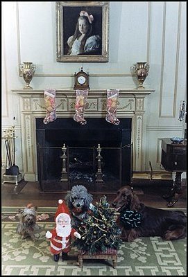President Nixon ensured that his three dogs also got Christmas presents.