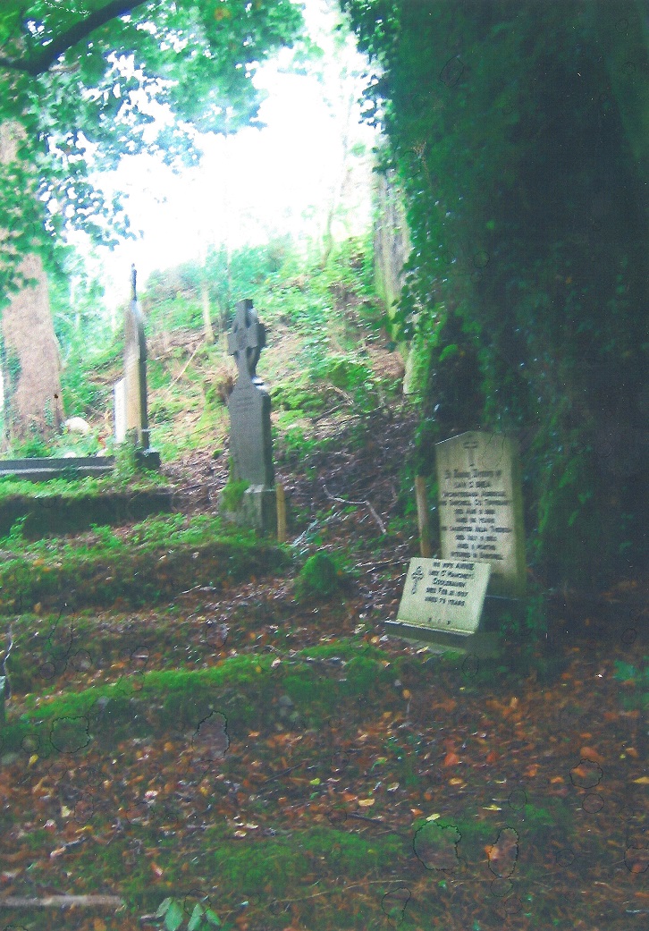 Sullivan family cemetery, County Cork, 2006.