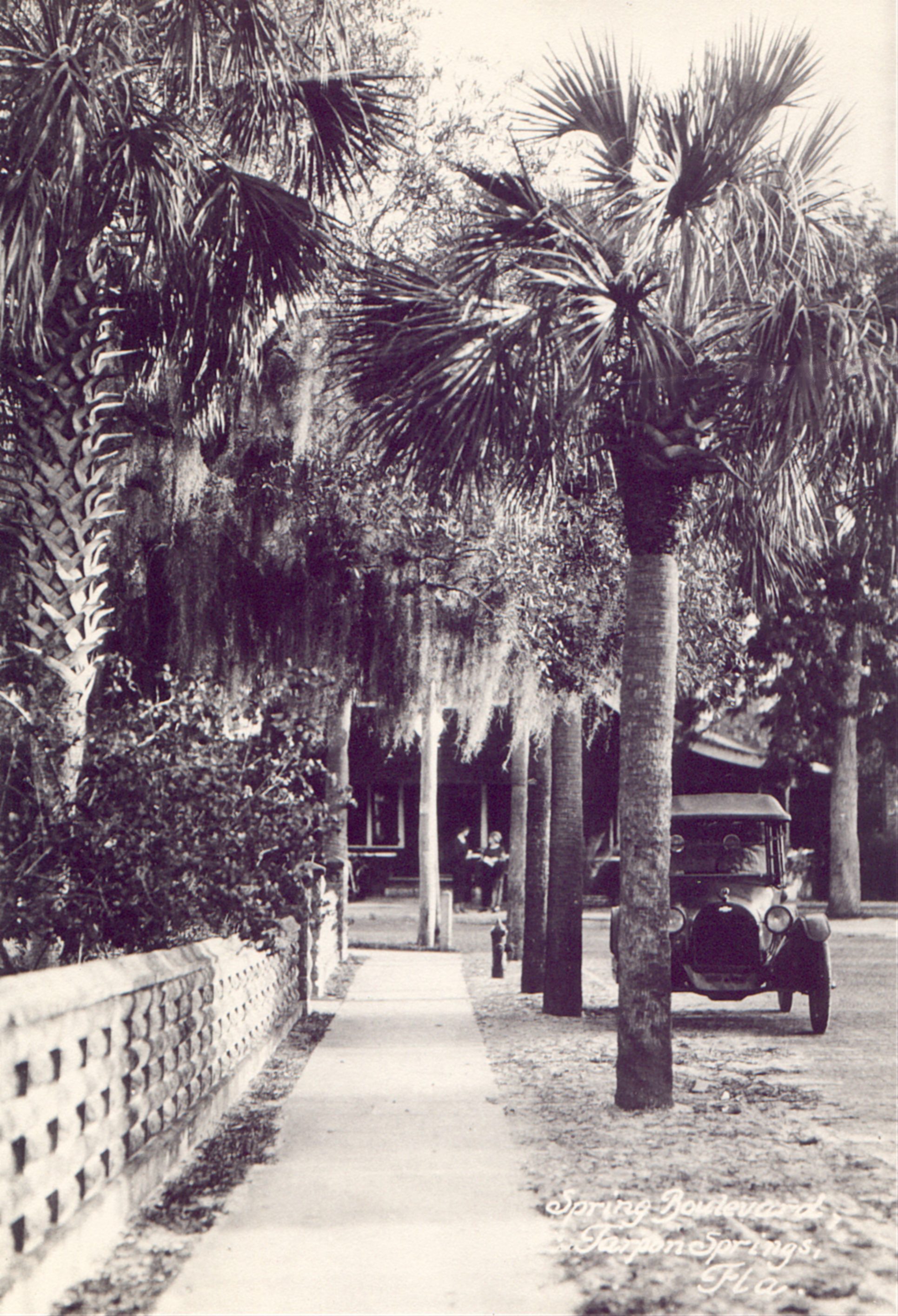 Tarpon Springs street 1912.
