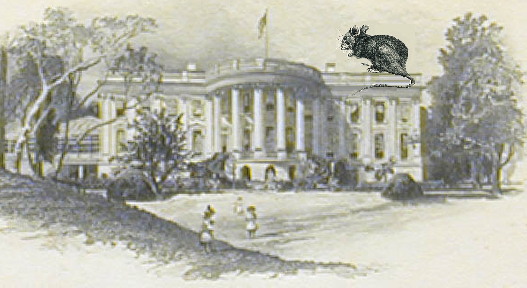 Rats can't help getting into the White House.